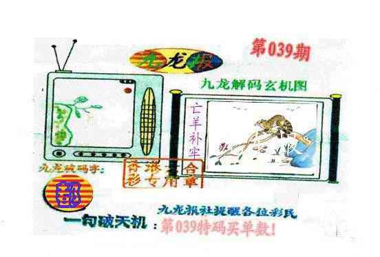 039期九龙报[图]