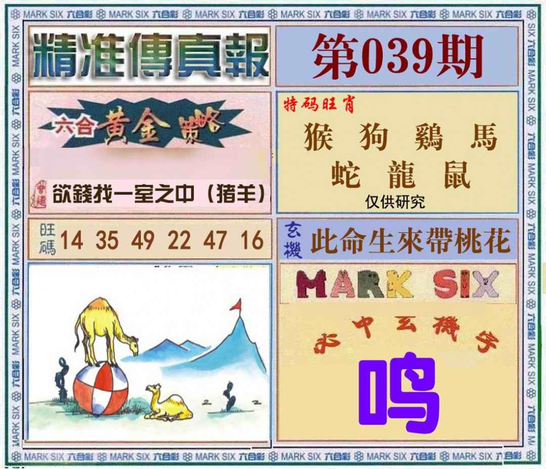 039期精准<?真?>[图]